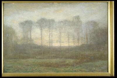 Landscape painting featuring a row of trees in the middle distance, separating a glowing sky above and a meadow in the foreground. The painting is signed and dated (l.r.) "D W Tryon 1905"