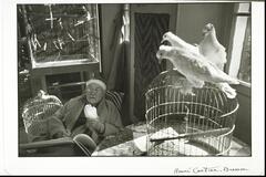 A photograph of an elderly man in an interior space. In the foreground, three pigeons sit on top of a large cage. The man holds a fourth bird and another cage sits behind him.