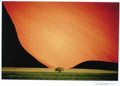 A photograph of a landscape. The hues are saturated, with a bright orange-red sky, dark sand dunes framing a low horizon line, with a single tree in the center of the image.