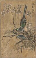 Hanging scroll depicting two birds at the center perched on branches. One bird has its tail pointed straight up while the other bird appears to be looking down. Small blossoms adorn some of the branches. An inscription is located in the upper right corner. The painting is framed by strips of silk attached to its edge.<br />
<br />
This painting depicts two birds sitting on flowering plum branches on a spring day. The tail of the bird on the vertically standing plum branch sits upright in parallel with the branch. The lower part of the painting shows drooping tree branches and willow leaves upon which the second bird sits, looking downwards. The plum flowers which evoke a sense of spring and the birds with their splendid feathers, echo the inscription on the upper-right corner: &ldquo;Welcome spring with its myriad colors (迎春滿色).&rdquo; The work features diverse colors in the style of the nineteenth-century folk paintings. It is currently framed by strips of silk attached to its edges.
<p>[Korean Collection
