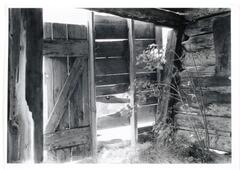An interior of a rundown cabin. There are various missing planks of wood and overgrown plants and grass. On the opposite side of the cabin there is a bright light coming through.