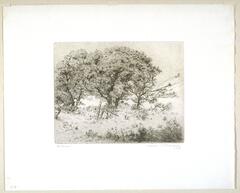 Print of a willow tree and broken fence.<br /><br />
Eva Caston 2017