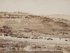 Human figures and cattle line a dirt-and-stone path in the foreground. A large hill crested with buildings and low walls dominates the left-hand side of photograph. 