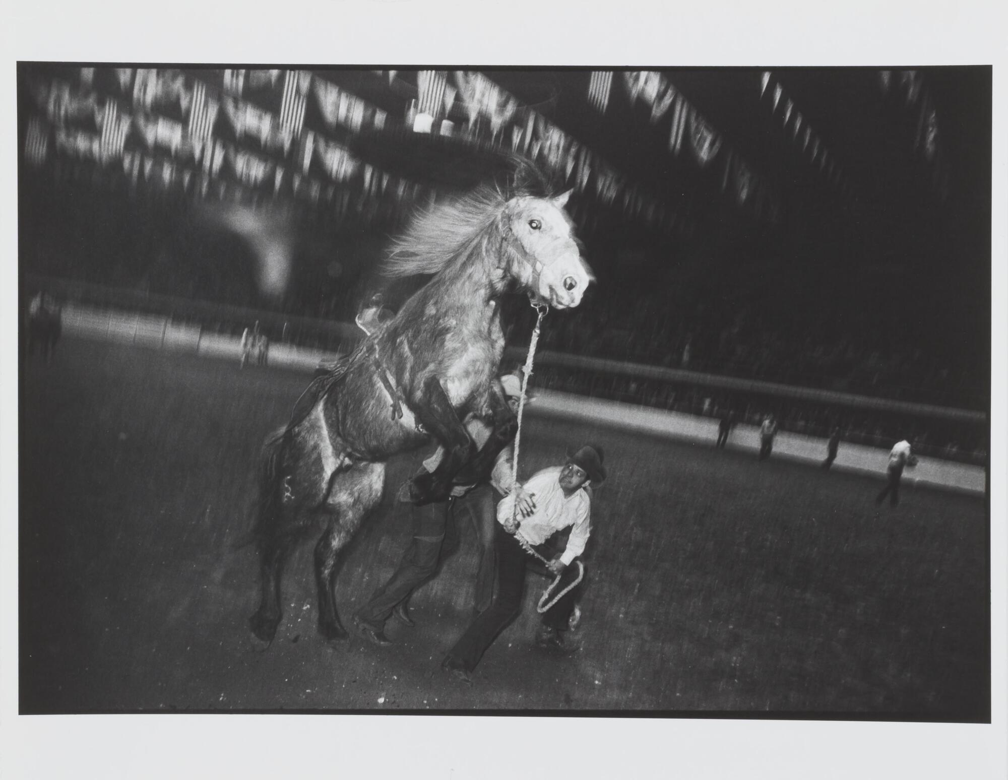 Photographed inside a rodeo arena, this image depicts a rearing horse and two men attempting to subdue it.