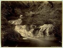 This photograph depicts a waterfall cascading through a lush wooded forest. The water streams down the fall and forms a whirlpool in the right foreground of the scene. 