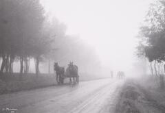 A road and two horse carriages. It is foggy and there are other people farther back in the scene.