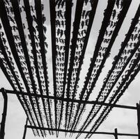 This photograph depicts a view from underneath a wooden drying rack upon which are laid hundreds of drying fish.<br />
 