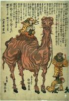 This double-leaf print depicts two camels and accompanying foreign trainers or performers in fringed clothing, with ballooning pants and dark boots.  Some of the performers play instruments, while others tend to the camels.  Above both pages is writing by calligrapher Santô Kyôden describing the camels and their tour of Japan around 1821.