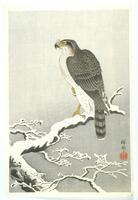 This print depicts a hawk perched on a snowy branch. The hawk looks out toward the left and perches with one leg on a snowy branch that comes from the left corner. The background is a gray gradient lightest at the top and darkest on the bottom. There is a signature on the right bottom. The vertical signature is followed by a red seal.&nbsp;