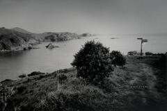 A black and white photo of a rocky coastline and the water that meets it. The words "stay alert" appear on the path leading to the edge of the cliff.