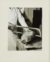 A person in a white apron holds a large piece of meat steady and he cuts into it with a saw.