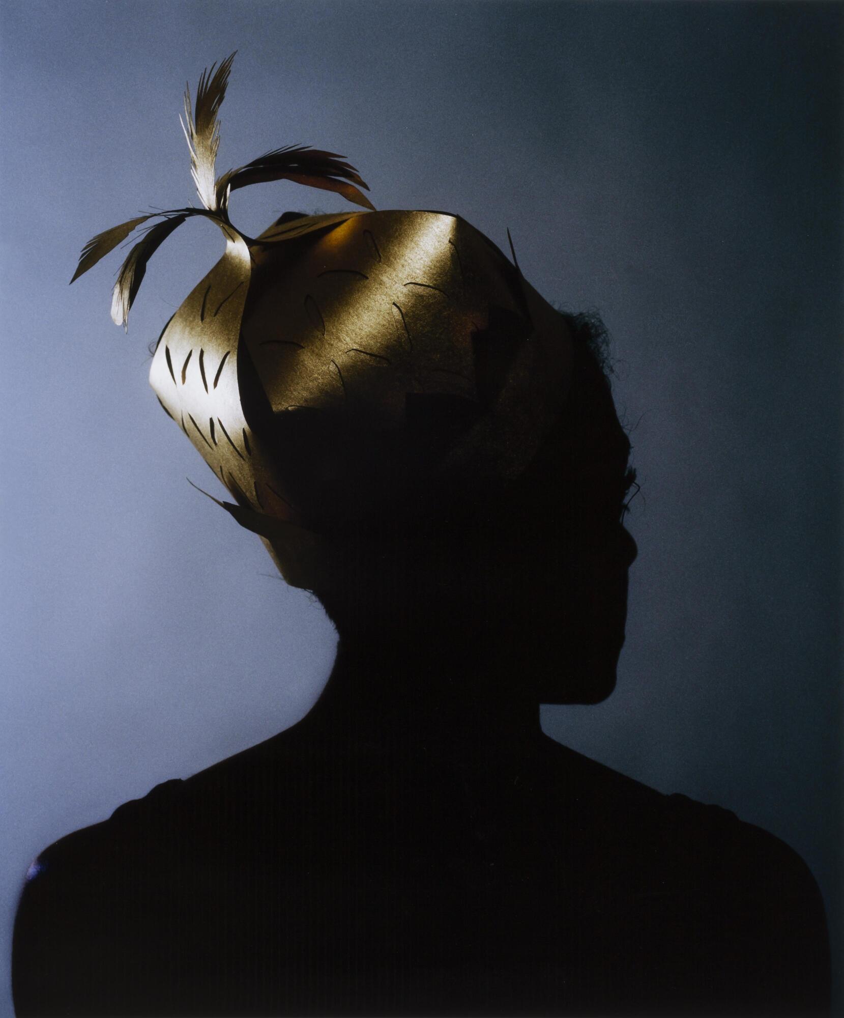Silhouette of a person facing away from the camera wearing feathered headwear.