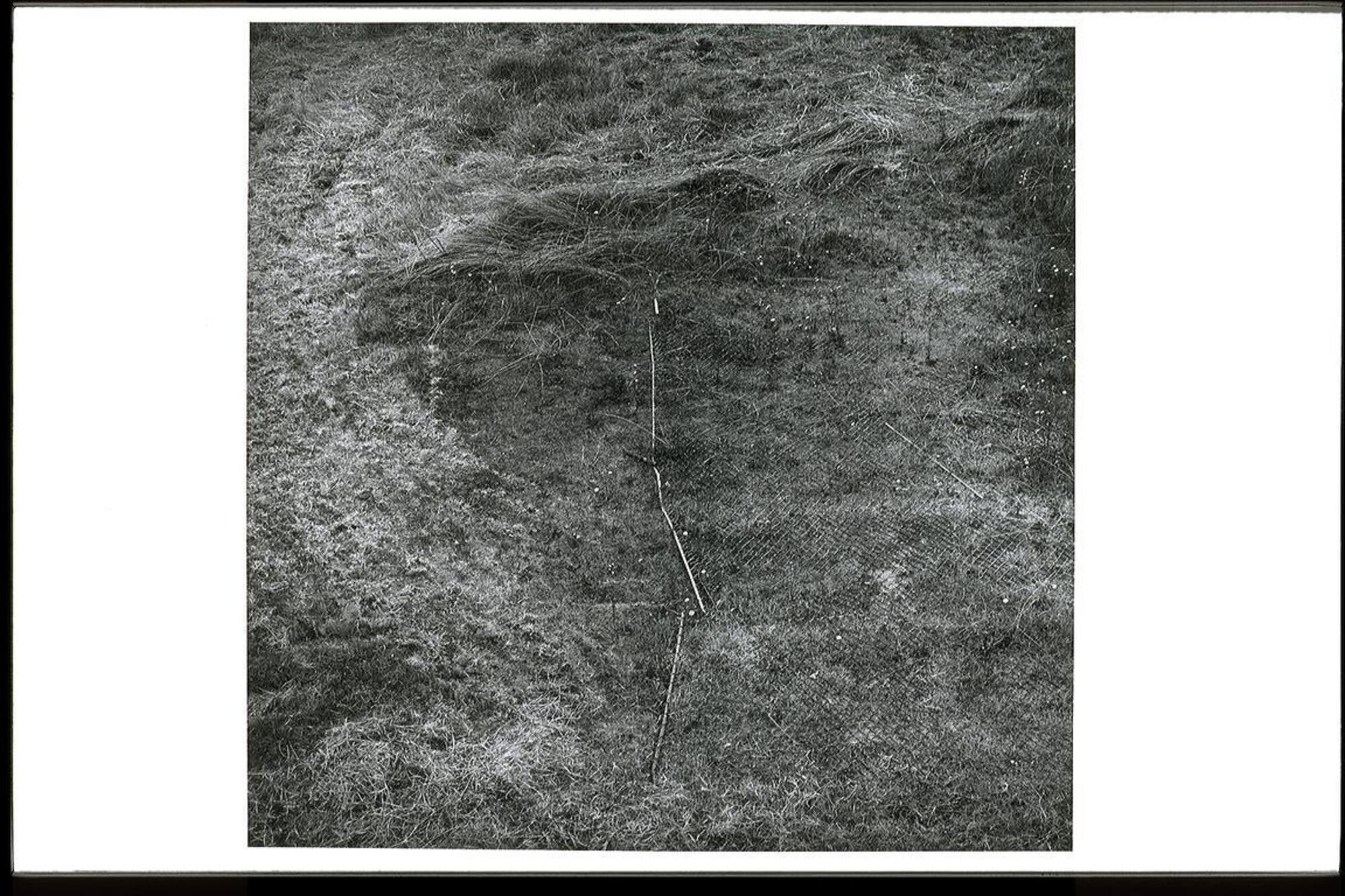 This is a black and white photograph depicting a close up view of a grass covered hillside. One portion of the hill has been covered with metal chain link fencing, laid flat on the ground, to prevent the topsoil from sliding down the slope.