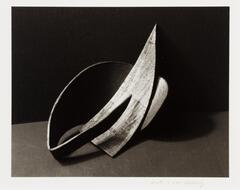 Image of an abstract sculpture with curved and pointed ends.