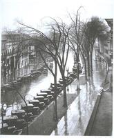 Elevated view of a rain-glazed street lined with parked cars and trees.