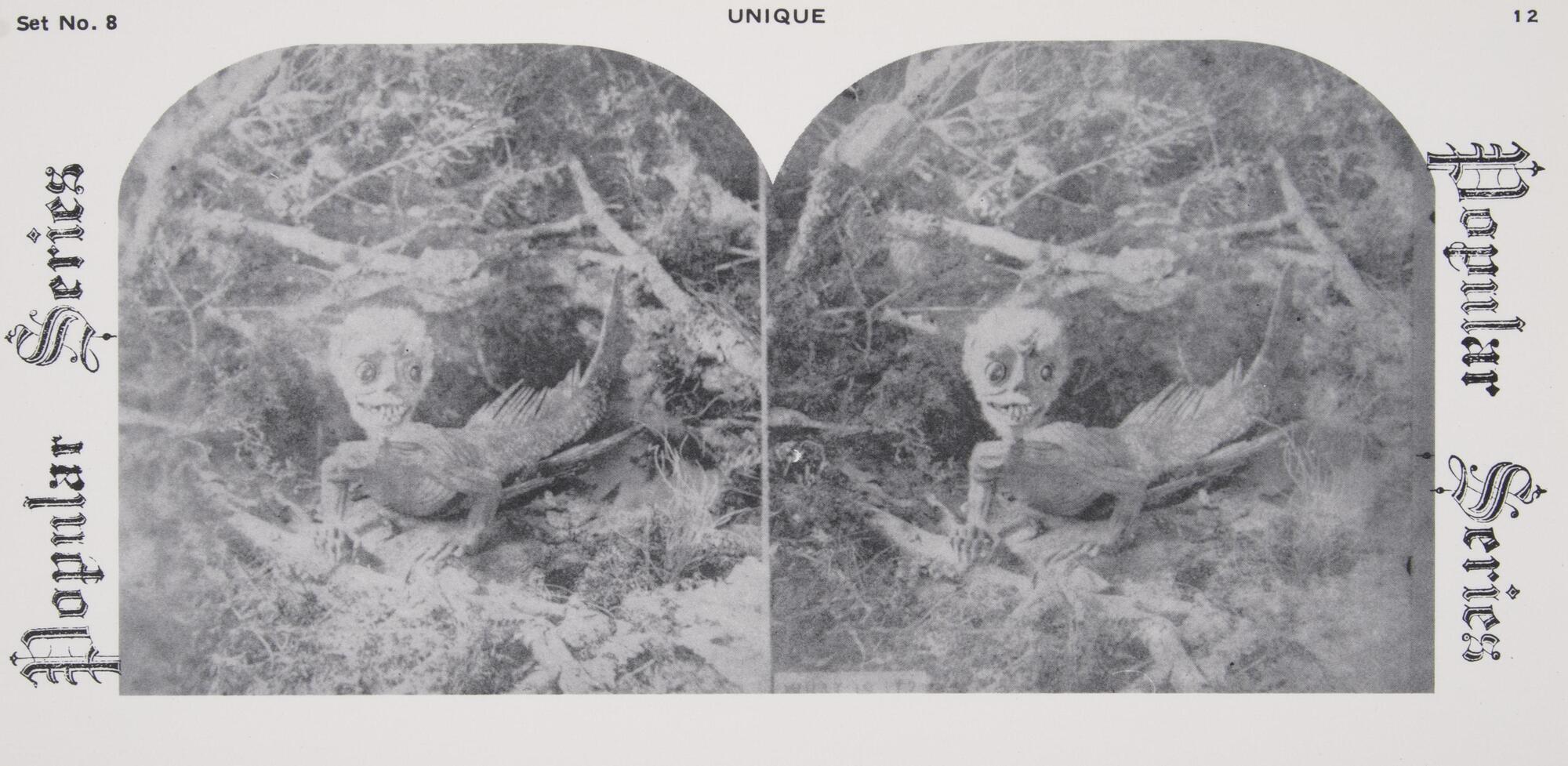 This black and white stereoscopic image features two images of a creature with an iguana’s body and an alien/skull/human head. It is surrounded by the text: Set No. 8; Underwood &amp; Underwood, Publishers, Unique; Popular Series.