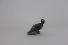 A small sitting bird carved from black stone with its head turned around looking backwards.&nbsp;