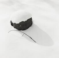 Black and white image of snow with twig sticking out and a covered rock.