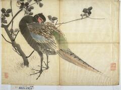 There is a single pheasant standing in the middle of the painting with its head turned around to peck at its feathers. There are a mixture of red, blue, green, and black feathers on the pheasant. Behind the pheasant is a plant growing from the ground. On the ground&nbsp;surrounding the pheasant and plant is grass. There are two seals, one on the left side of the painting and the other on the right side of the painting.