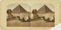 This color stereoscopic image features two images of a sphinx on the left, a pyramid in the background and a kneeling camel in the front.