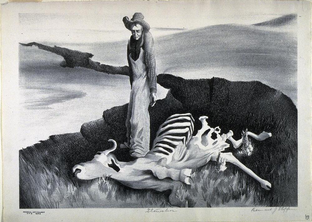 A bovine carcass lies on the ground. A man in overalls and a wide-brimmed hat stands behind it, facing the viewer and gesturing towards the deceased animal.