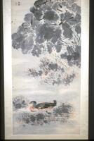 In this large scroll Gao depicts a duck swimming among aquatic plants in the shade of a cluster of lotus.