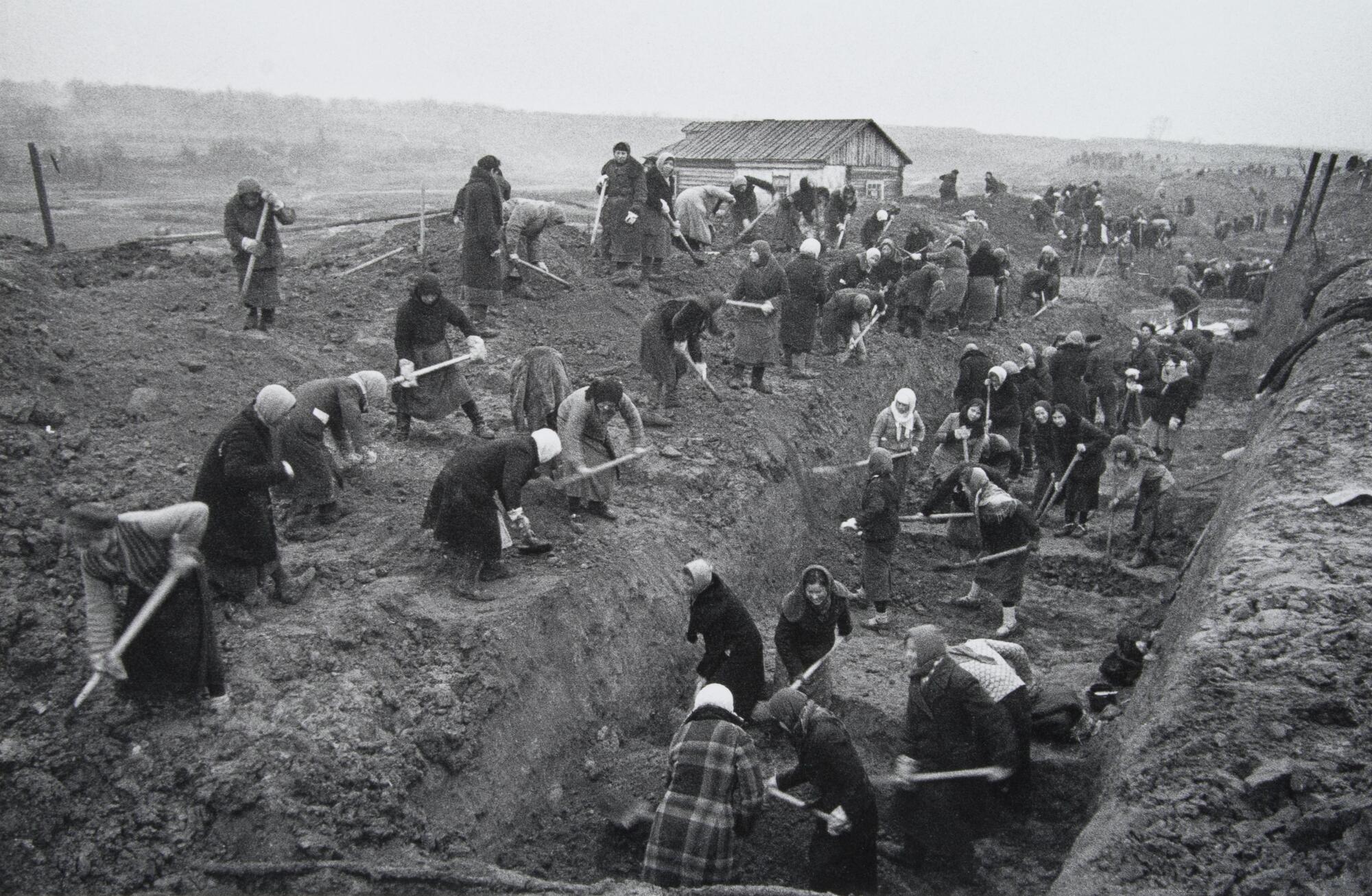 A large group of women with pickaxes and shovels dig a trench in a barren landscape.