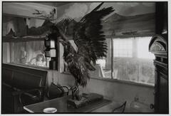 Photograph of the interior of a bar. A large taxidermy bird sits on a table in the center of the composition. The walls are decoratively painted. Outside, two children look in through the screened windows.