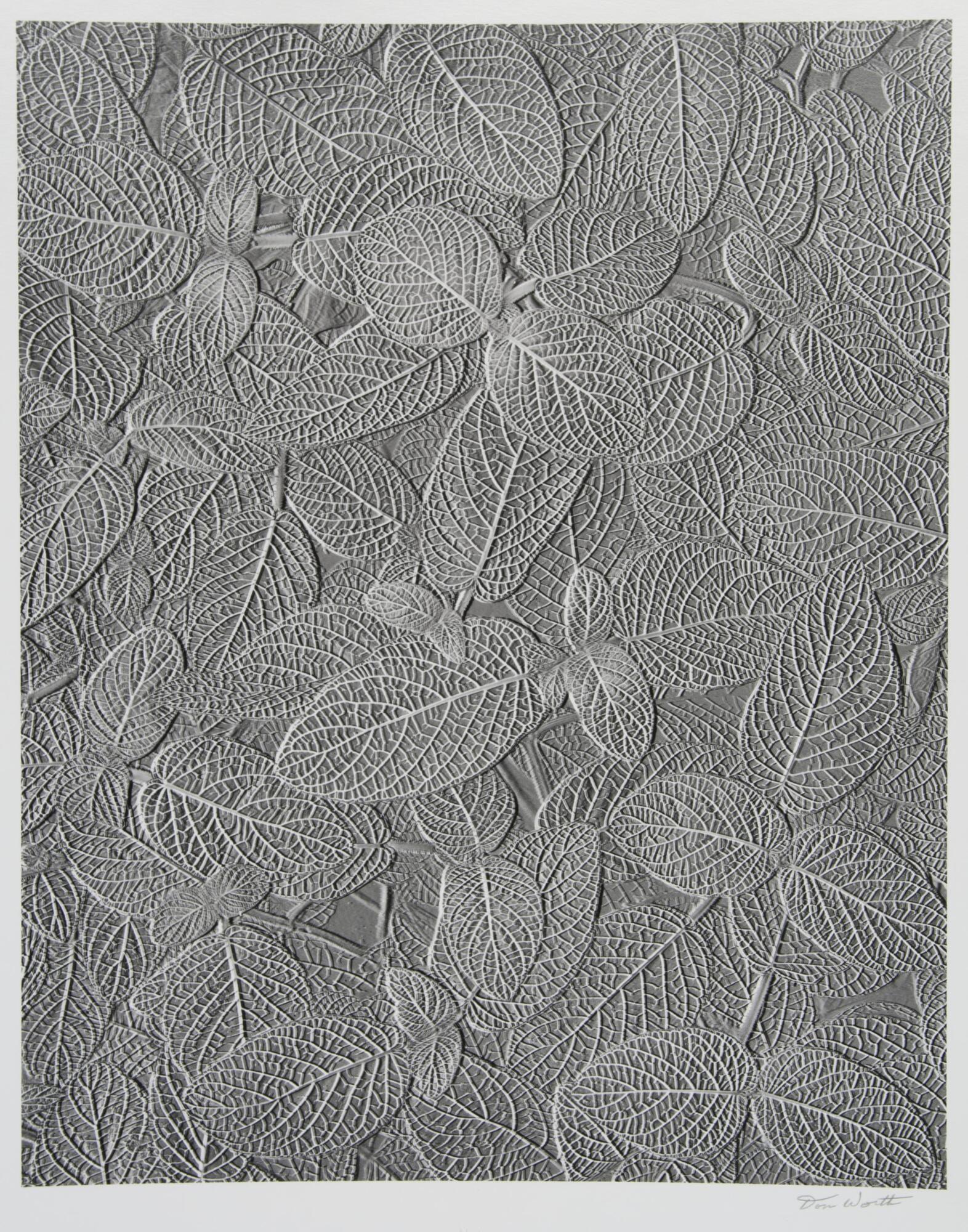 An overlay of oval shaped leaves taking over the entire image. Light grey hues.