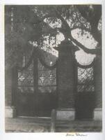 A photograph of an iron gate with brick columns. A large tree hangs over the gate, its branches mimicking the formal qualities of the gate below.