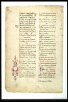 This page from a manuscript features two columns of text written in Armenian. An animal-shaped initial, composed of two stylized birds pecking one another, appears in the lower right column. The lower left margin is decorated with a sidebar that elegantly combines geometric and plant motifs. The decorative elements are painted in pink and blue with touches of reddish orange.