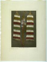 A hand-tinted photograph of woven beadwork. Two larger, identical rectangular pieces frame a smaller piece with multiple tassles in the center. 
