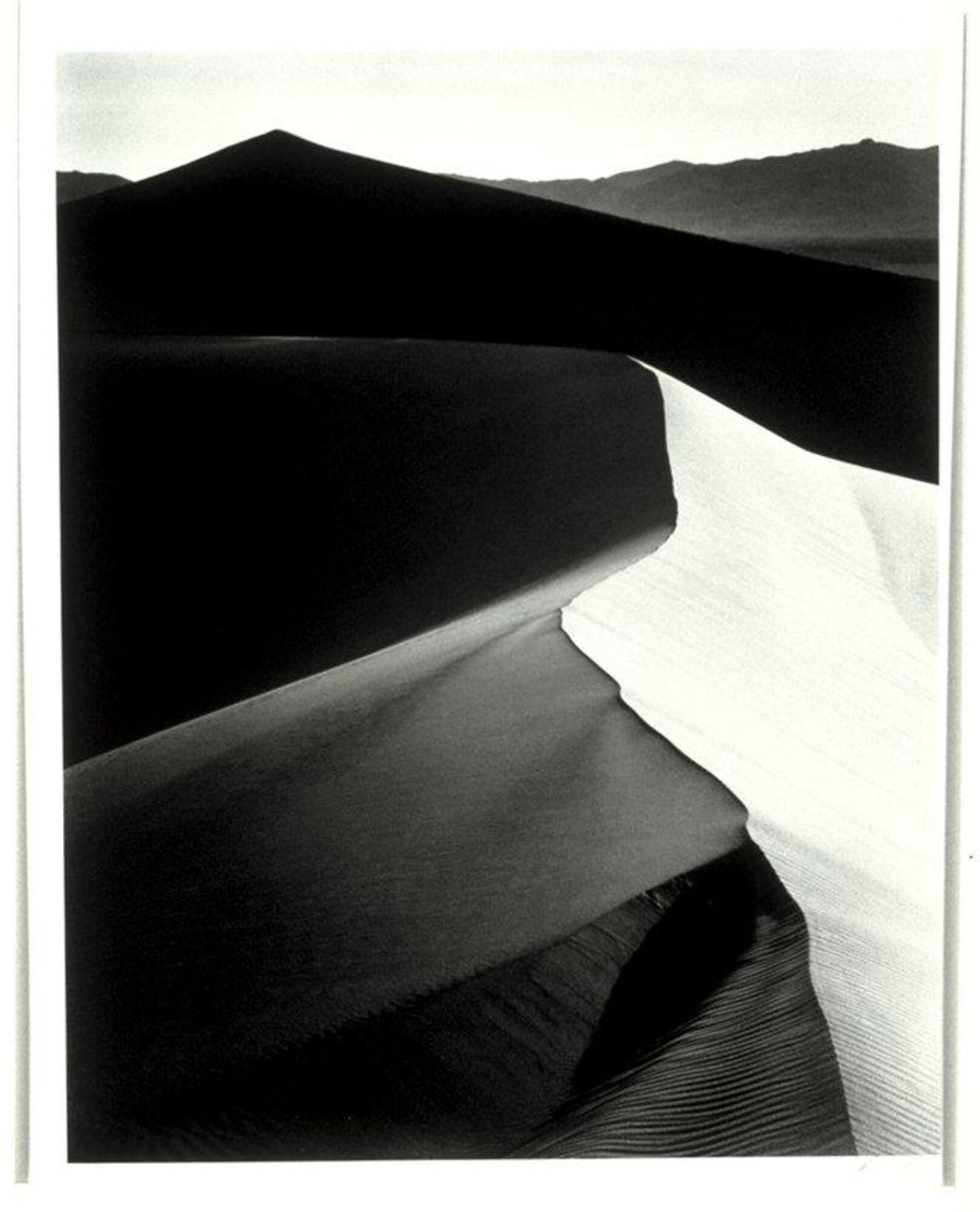 The photograph depicts an expanse of sand dunes in the morning light.