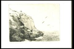This ocean scene shows a cliff on the left half of the composition, with the ocean and some birds on the right. The cliff is darker towards the bottom, and the strip of ocean is in the bottom third of the composition. There are five birds; three are more distinct, while the other two a smaller and fainter.