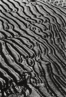 This photograph of wet sand shows grooves formed in the sand by wind or water, creating canyon-like formations when viewed at this closed-in, cropped angle.