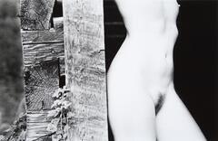 A nude woman from the top of the chest to the knees leaning up against a wooden fence. The rustic fence is held together by tounge and groove joints.