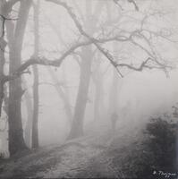 This black and white photograph shows men walking along a trail in a dense fog. There are multiple silhouettes of trees in on the left side of the trail.