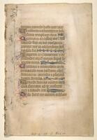 This manuscript leaf contains a single column of text in Latin surrounded by generous margins on three sides. Pen-flourished initials elaborated with delicate penwork, colored red and blue alternating with gold and purple, mark the beginning of each verse along the left edge of the text column. Five line-fillers, long linear elements colored blue and gold, complete the closing line of each verse and preserve the regular shape of the text block.