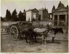 This photograph is of a wooden wagon laden with sacks of grain.  The wagon is drawn by a horse, an ox, and a donkey. In the background stand three chapel-like structures. 