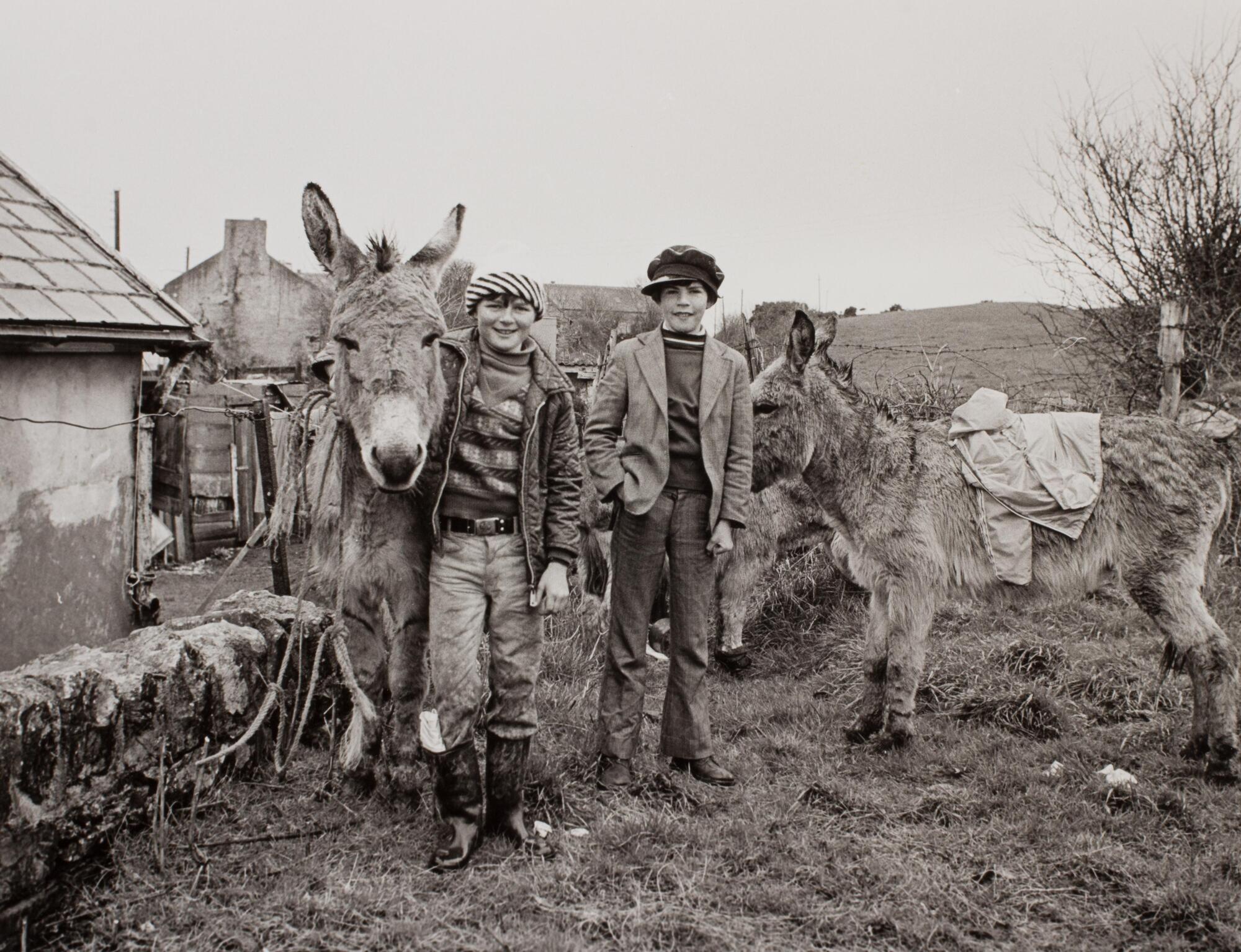 Two young boys standing next to two donkeys in a field next to a few small shacks.