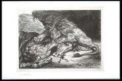 This black and white print depicts a male lion attacking the body of a horse near a rocky cave. Only the front portion of the horse is shown, lying on its side on the ground. The lion crouches above the horse and presses down with its front paws, claws extended, as it sinks its teeth into the horse's neck. There is a fierce, wild eyed expression on the lion's face.  The scene is set in an undefined rocky landscape.