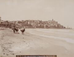A city situated on top of the horizon line juts out from the left side of the photograph. In the fore- and middle ground, two men pose frontally along a beach, one standing, one astride a donkey.