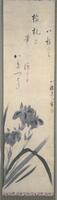There are two iris flowers surrounded by their leaves coming from the bottom left corner of the hanging scroll. In the top middle section of the hanging&nbsp;scroll is a poem.