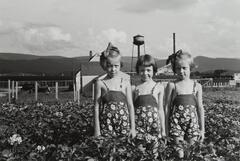 Three girls in matching dresses, standing in a field.
