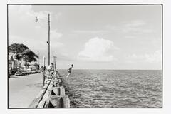 A boy jumping off a diving board into the ocean. The road next to the water has houses on the other side. There are other children surrounding the boy on the road.