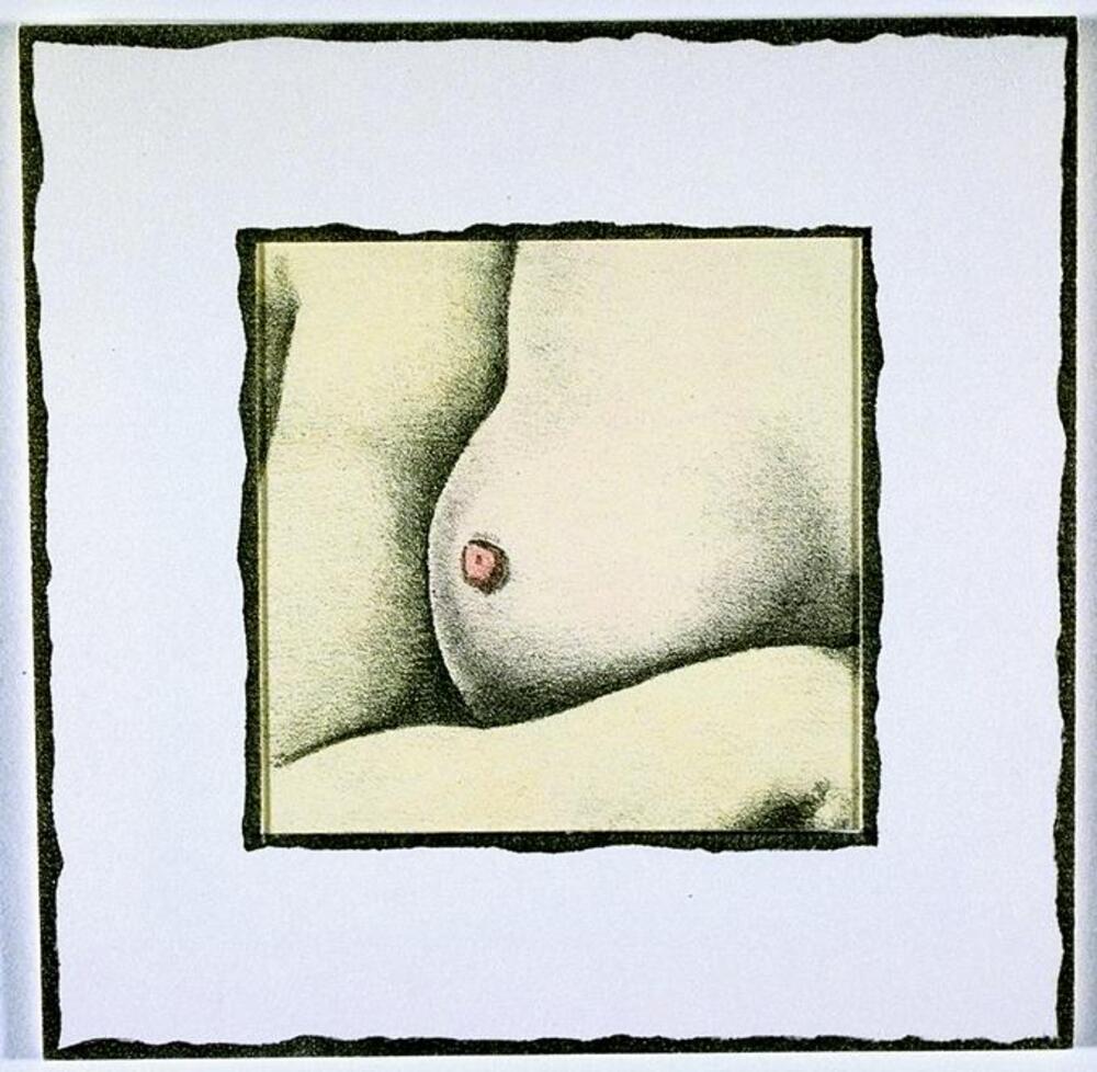 A detail of a woman's' right breast from the first image in the portfolio. 