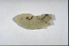 jade pendent with zoomorphic design, with abstract representation of animal form, possibly a bird. Notchs on the edge and worn relief carvings on the surface indicate that the pendant was probably recarved from a broken jade object from an earlier era.
