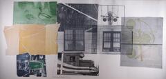 This lithograph is a combination of approximately nine photographs including some of ducks, a train, train tracks, a utility pole, lace, and windows in green, yellow, black, and white.