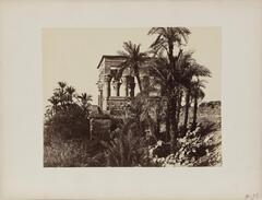 View of an Egyptian temple and palm trees seen from below.