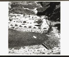 This is a black and white photograph showing a bird's eye view of a desert garden. There is a circular grass area surrounded by a landscaped sandy terrain. A picnic table sits among the planted trees, flowers and bushes. In the background is a rocky hillside with groundcover vegetation.